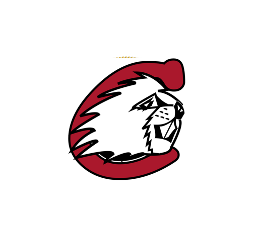 Cumberland School District